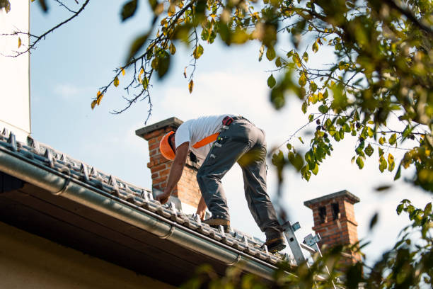 Best Roof Gutter Cleaning  in Chippewa Falls, WI
