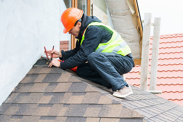 Best Metal Roofing Contractor  in Chippewa Falls, WI