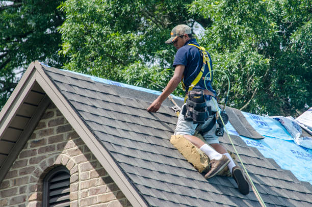 Best Roof Repair Services  in Chippewa Falls, WI